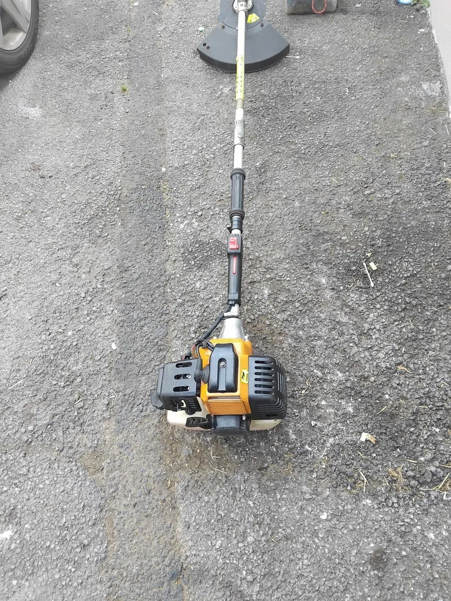 Big grass strummers running very well priced - Image 4