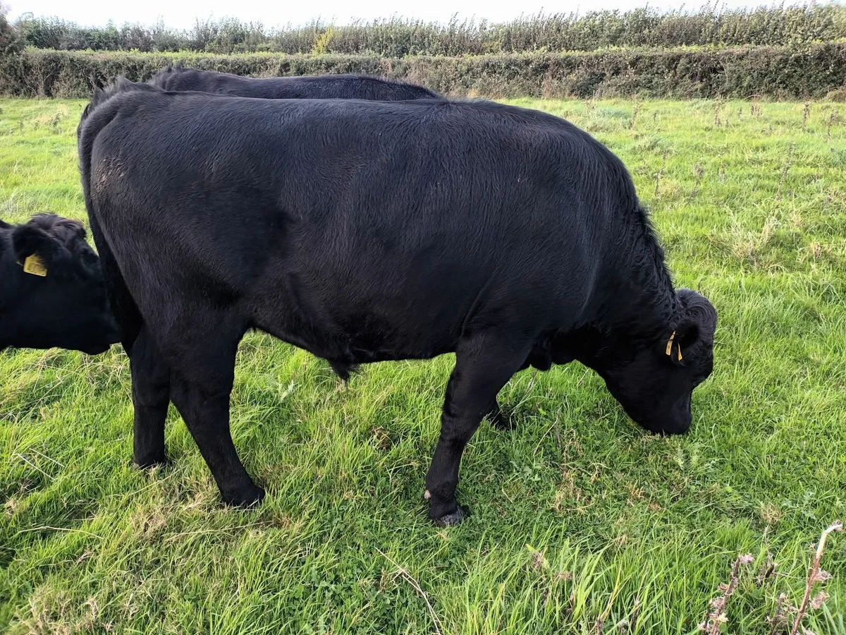 Weaning