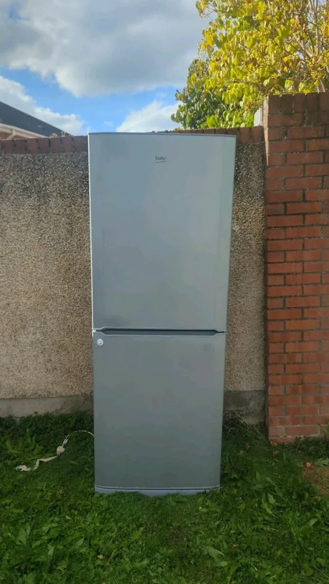 Freeze - Image 1