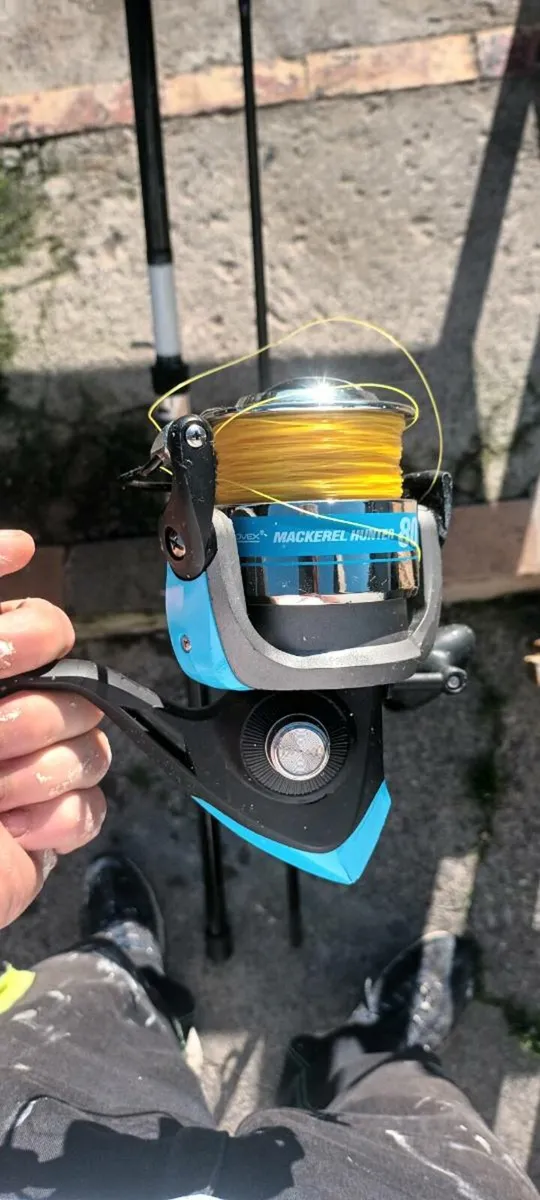 12ft rod - Image 1
