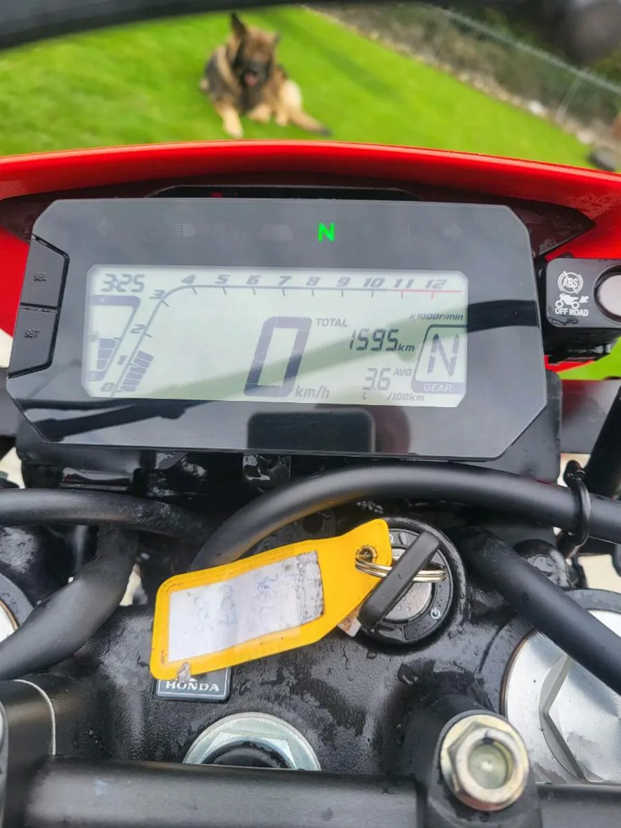 Honda crf300l - Image 2