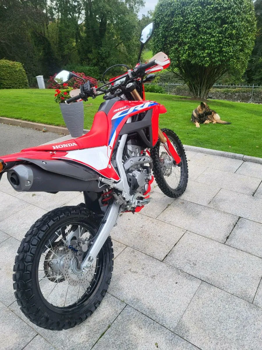 Honda crf300l - Image 4