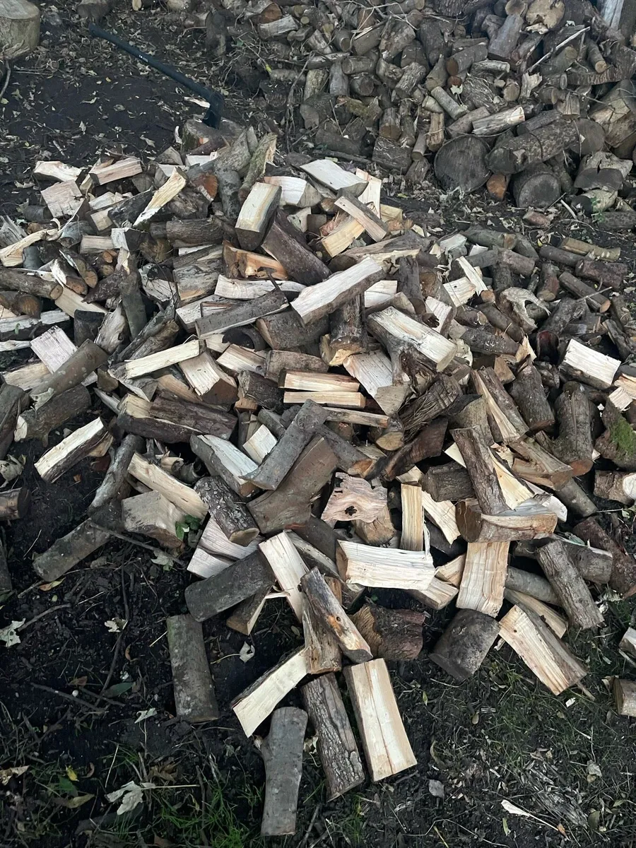 Hardwood firewood - Image 4