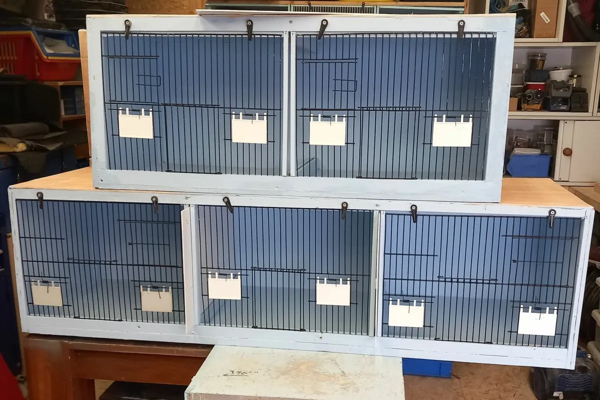 Avery Bird Equipment - Image 1