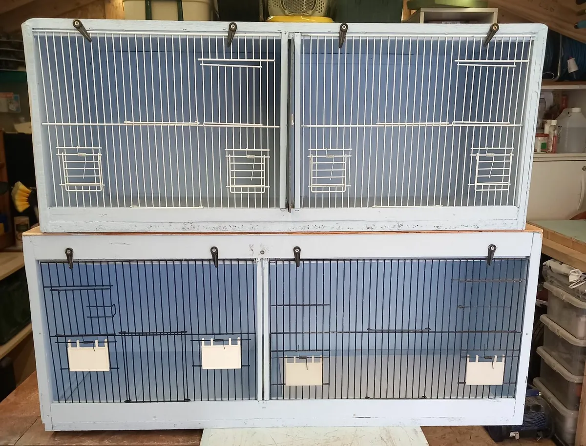 Avery Bird Equipment - Image 1