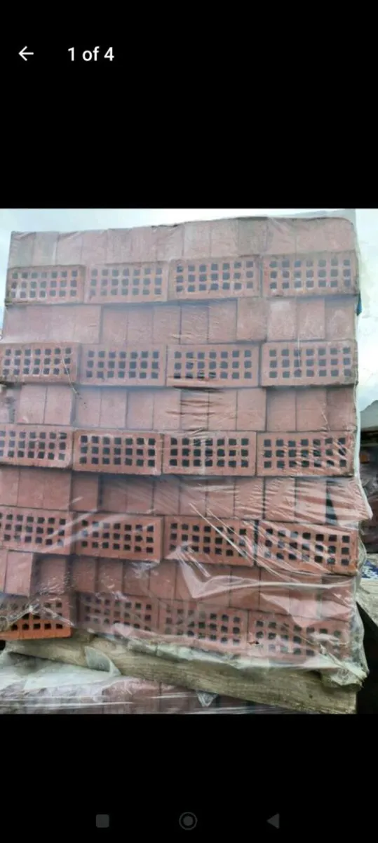 Clay Facing bricks - Image 1