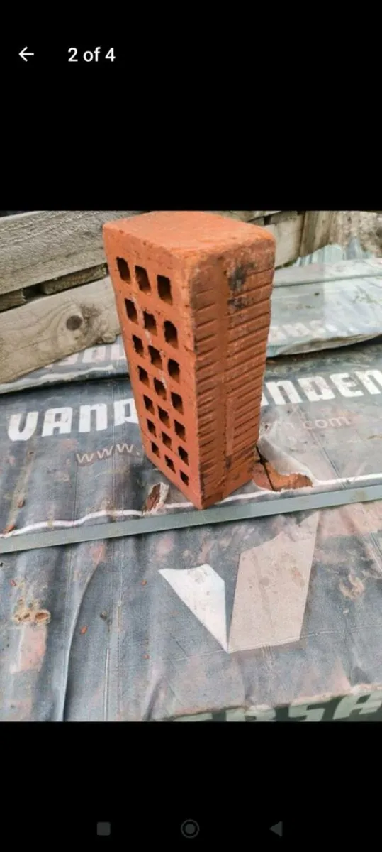 Clay Facing bricks - Image 2