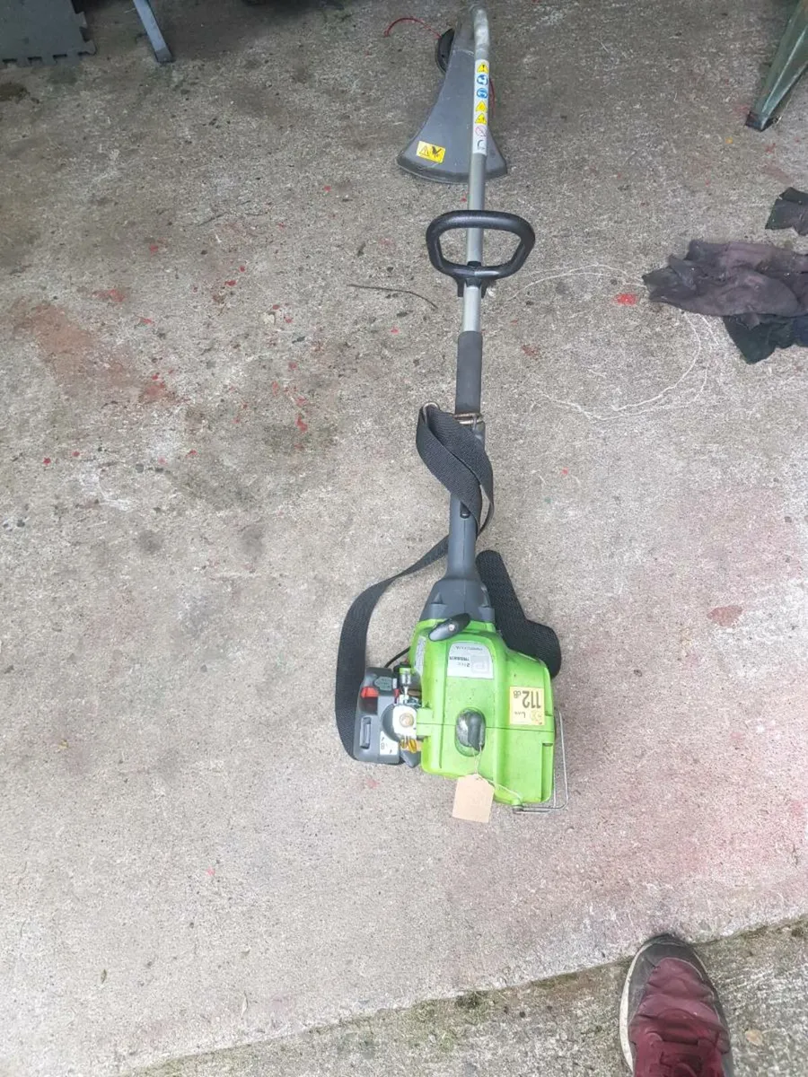 Strimmer - Image 1