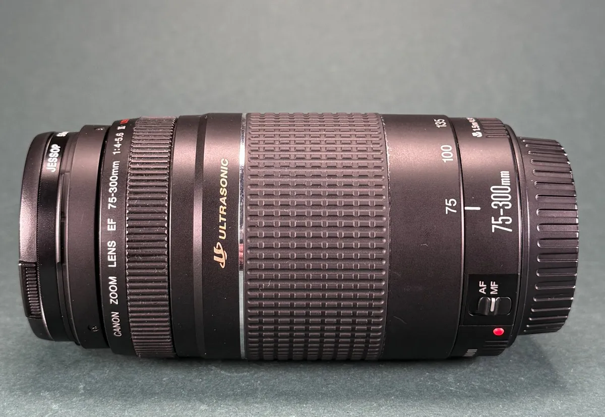 Canon EF 75-300mm f/4-5.6 III USM lens - Image 4