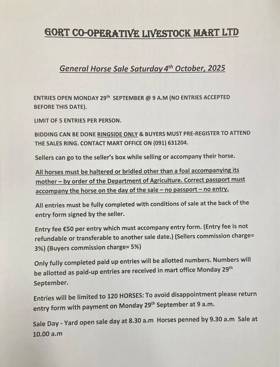 Gort Mart: Pre entry General Horse Sale: 4th Oct - Image 3