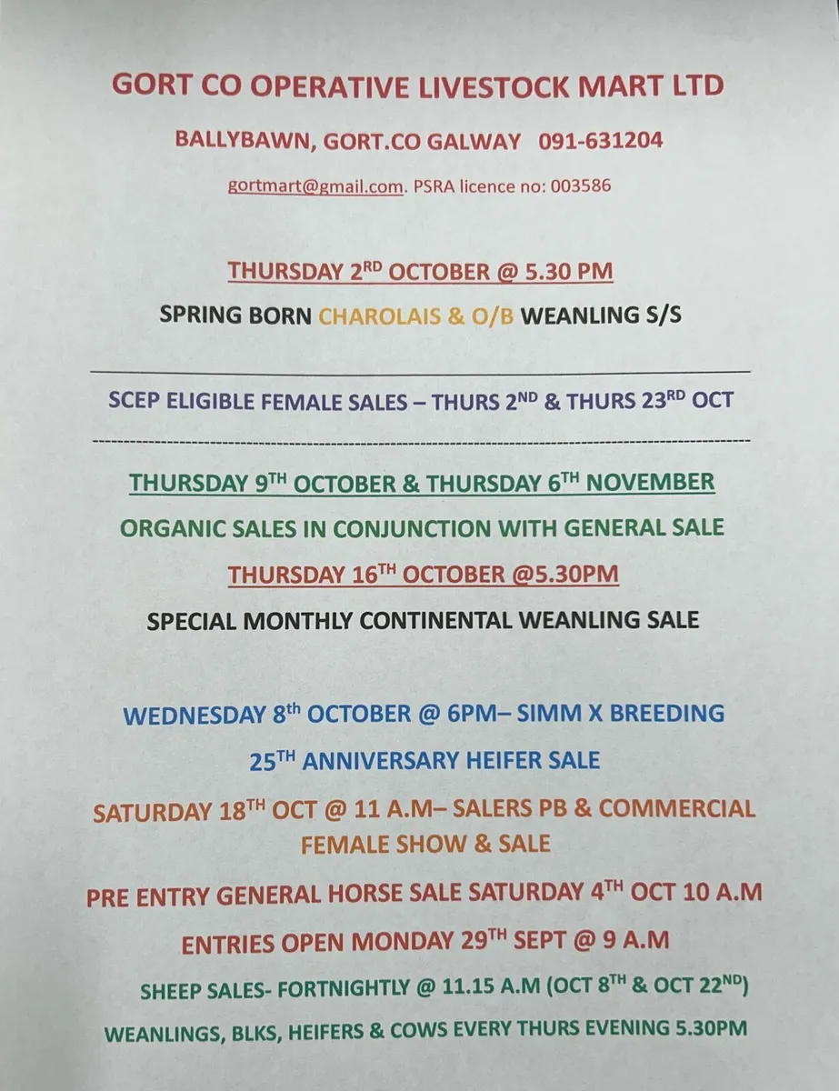 Gort Mart: Pre entry General Horse Sale: 4th Oct - Image 4