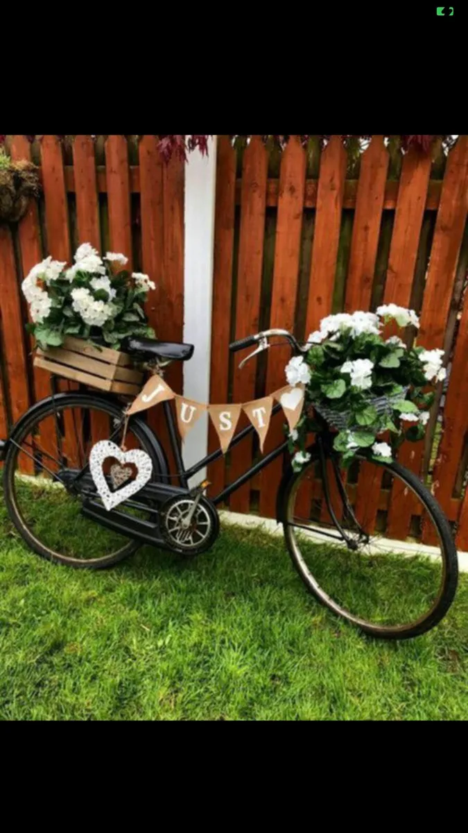 Vintage High Nelly Bike for Hire/Rent