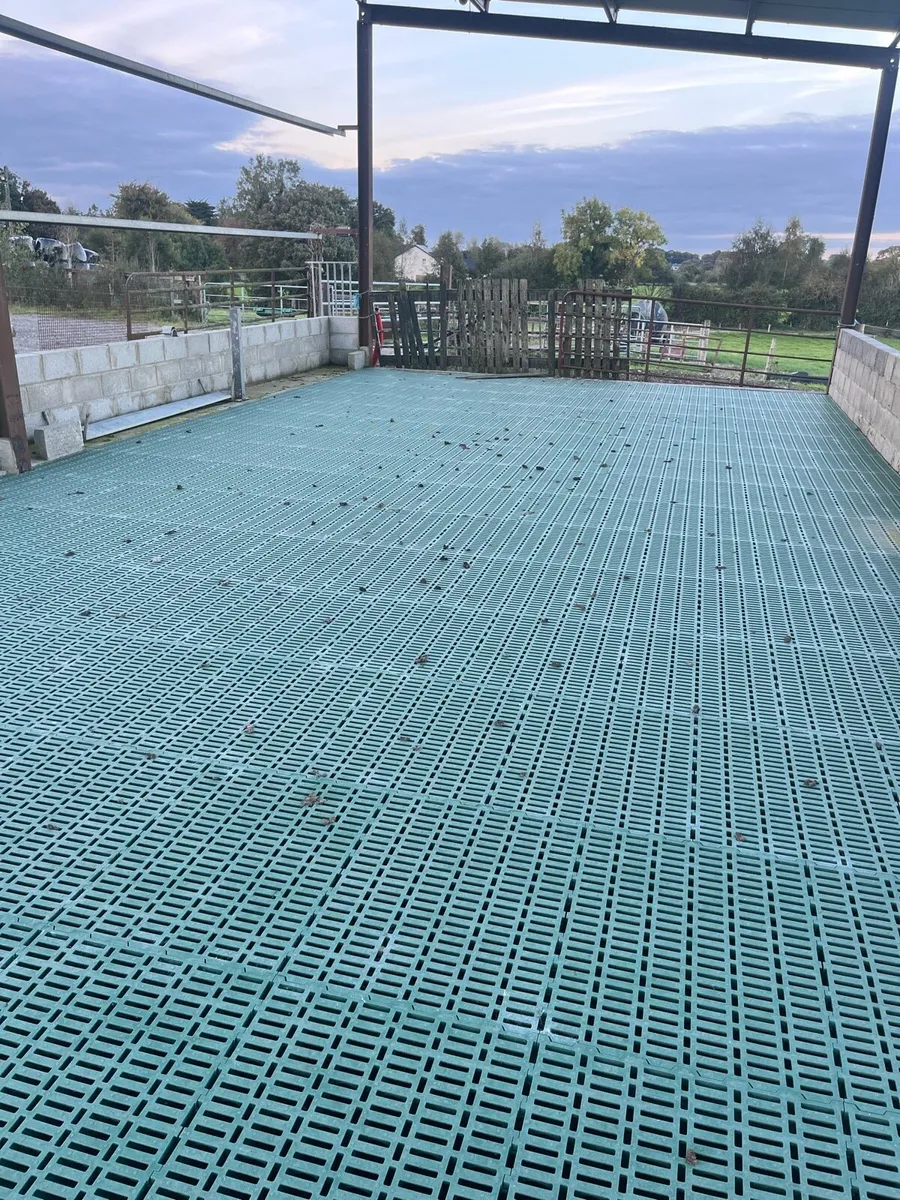Sheep Slats - Image 2