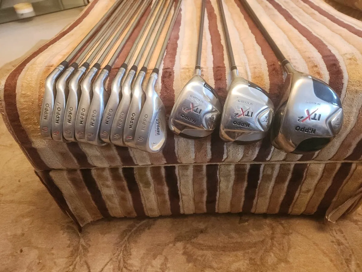 Set of Golf Clubs - Image 2