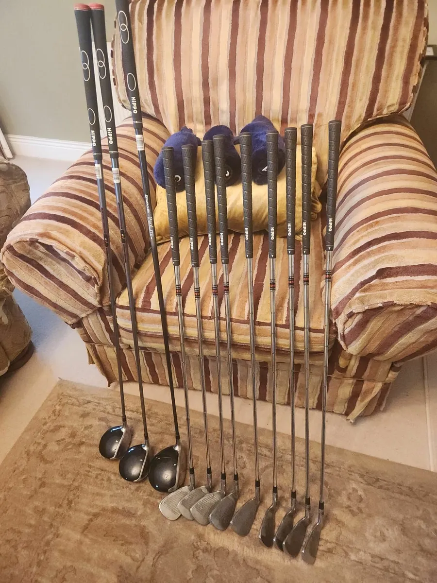 Set of Golf Clubs - Image 4