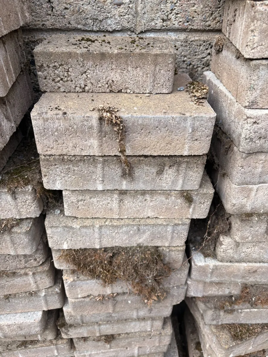 Patio slabs - Image 2
