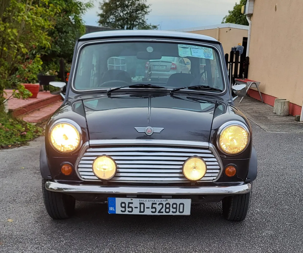 Austin mini 1995 - Image 1