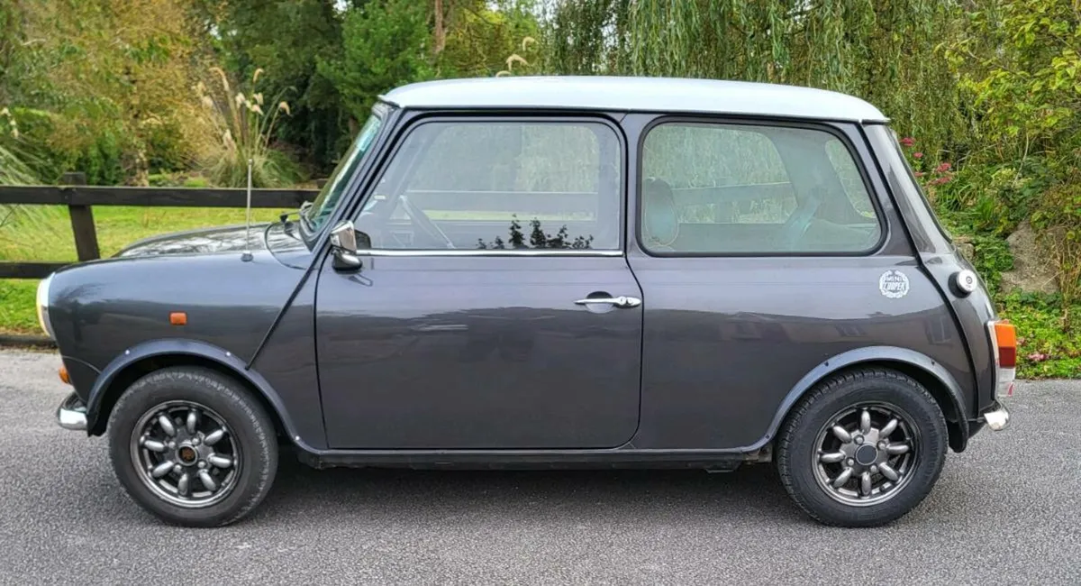Austin mini 1995 - Image 3