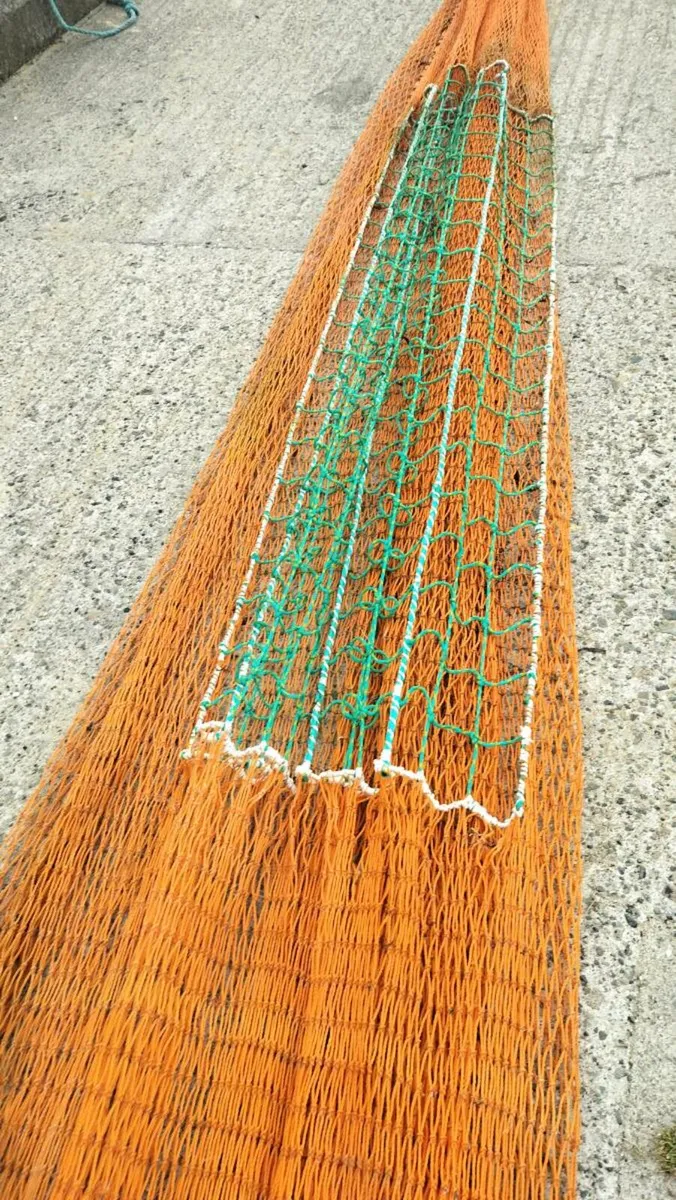 Trawl - Image 3