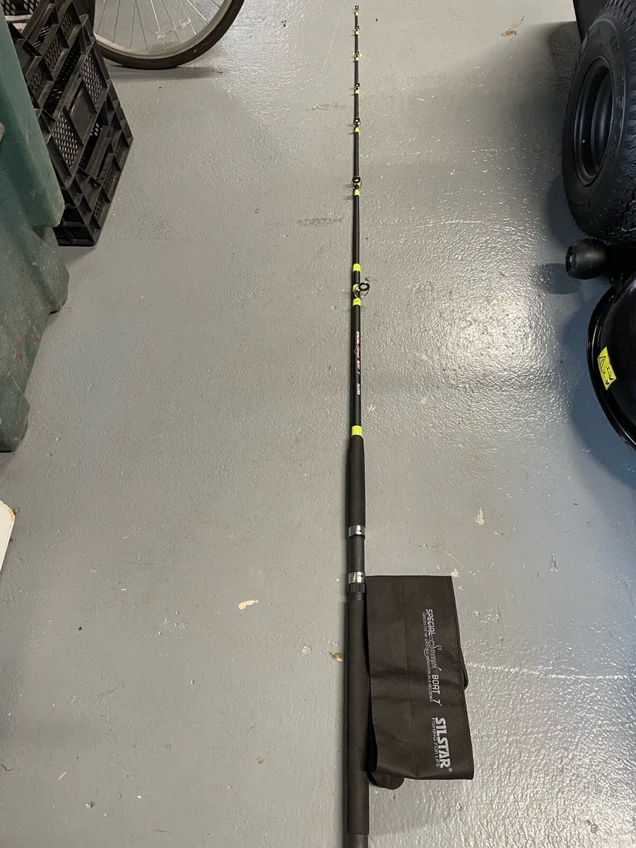 Two piece boat rod - Image 1