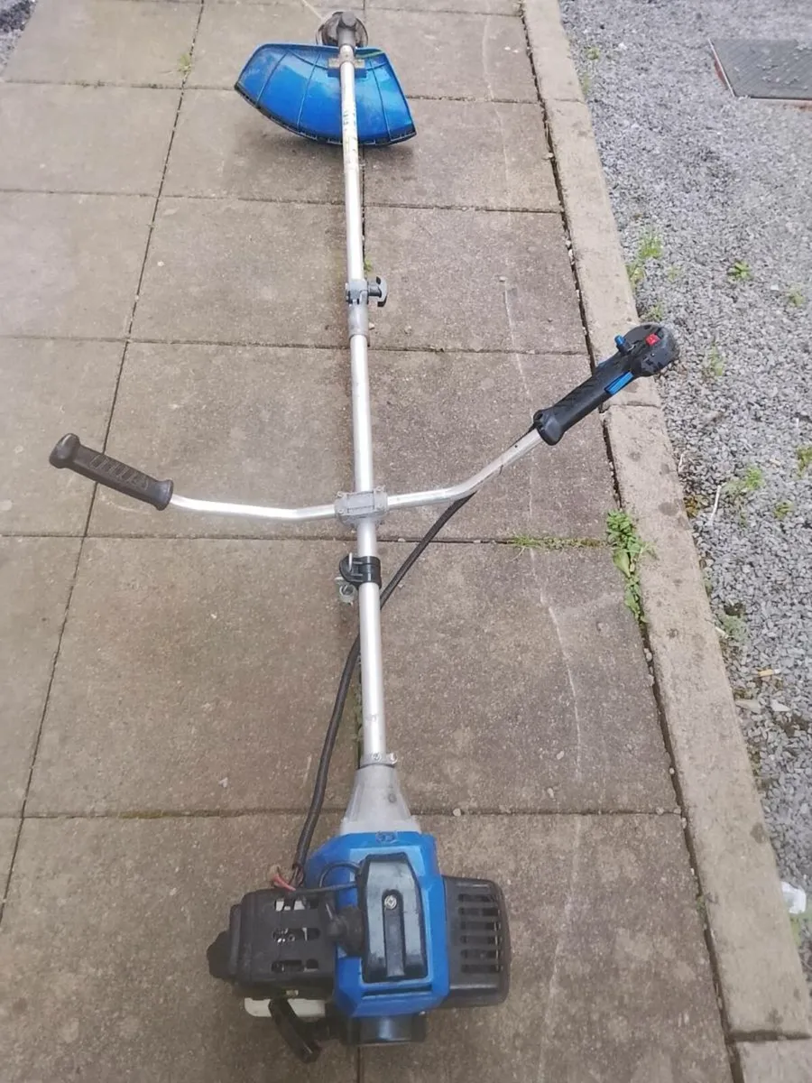 Strimmer - Image 1