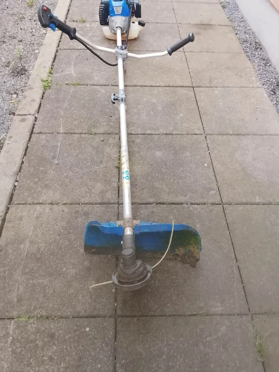 Strimmer - Image 2