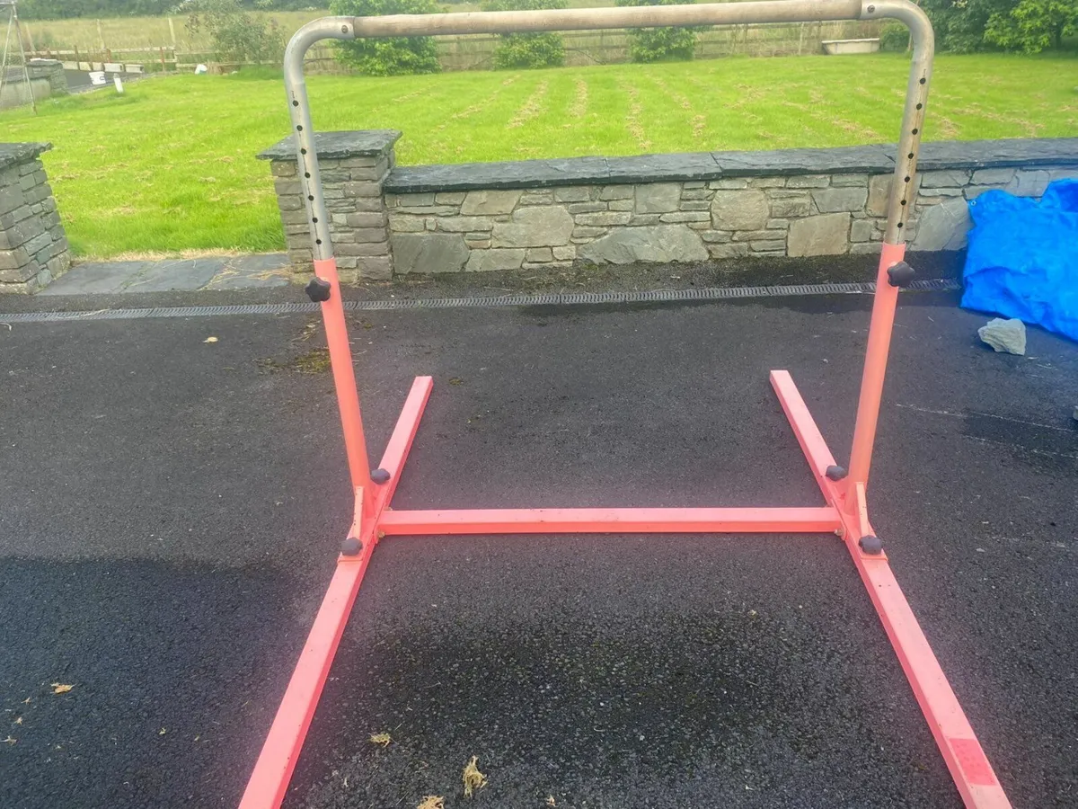 Gymnastic Bars - Image 1