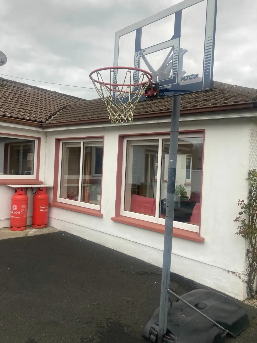 Adjustable Baseball hoop and stand - Image 2