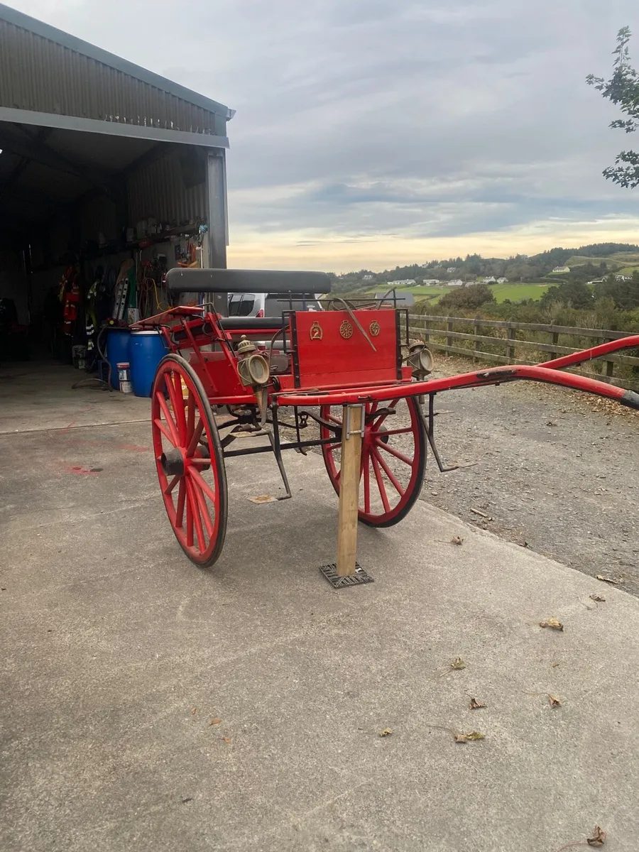 Horse carriage - Image 1