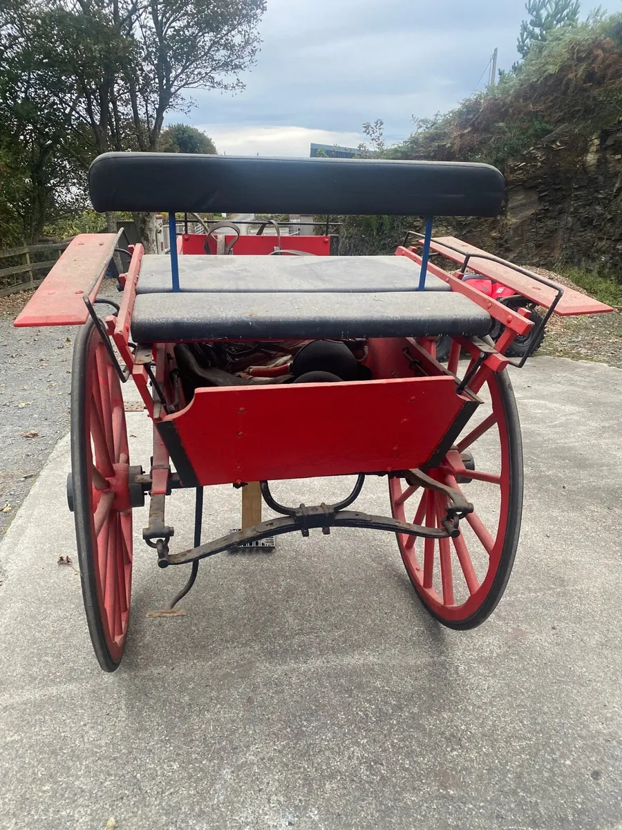 Horse carriage - Image 3