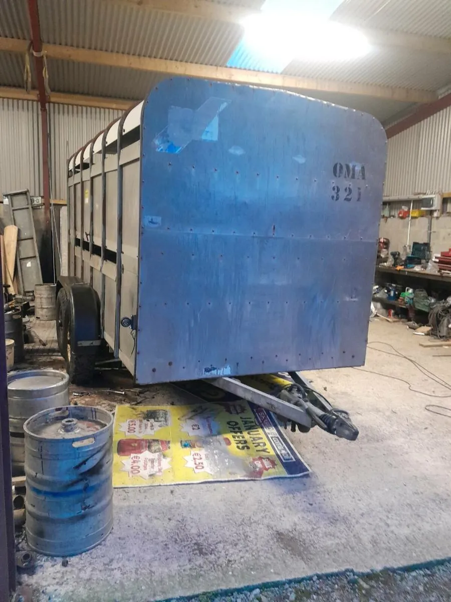Ifor  williams cattle trailer 12by6 cal 0868782672 - Image 2