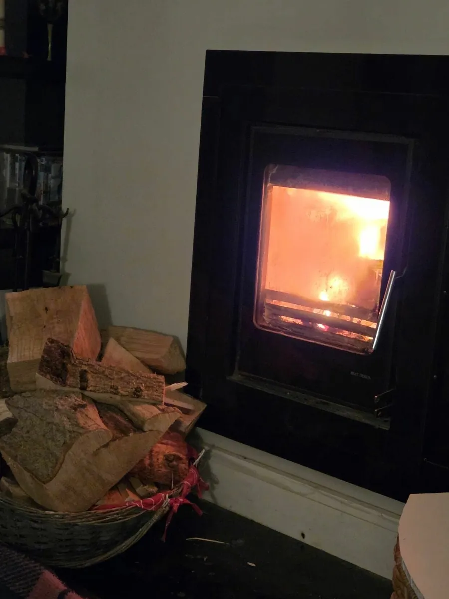Large Bags of Kindling Sticks - Image 2