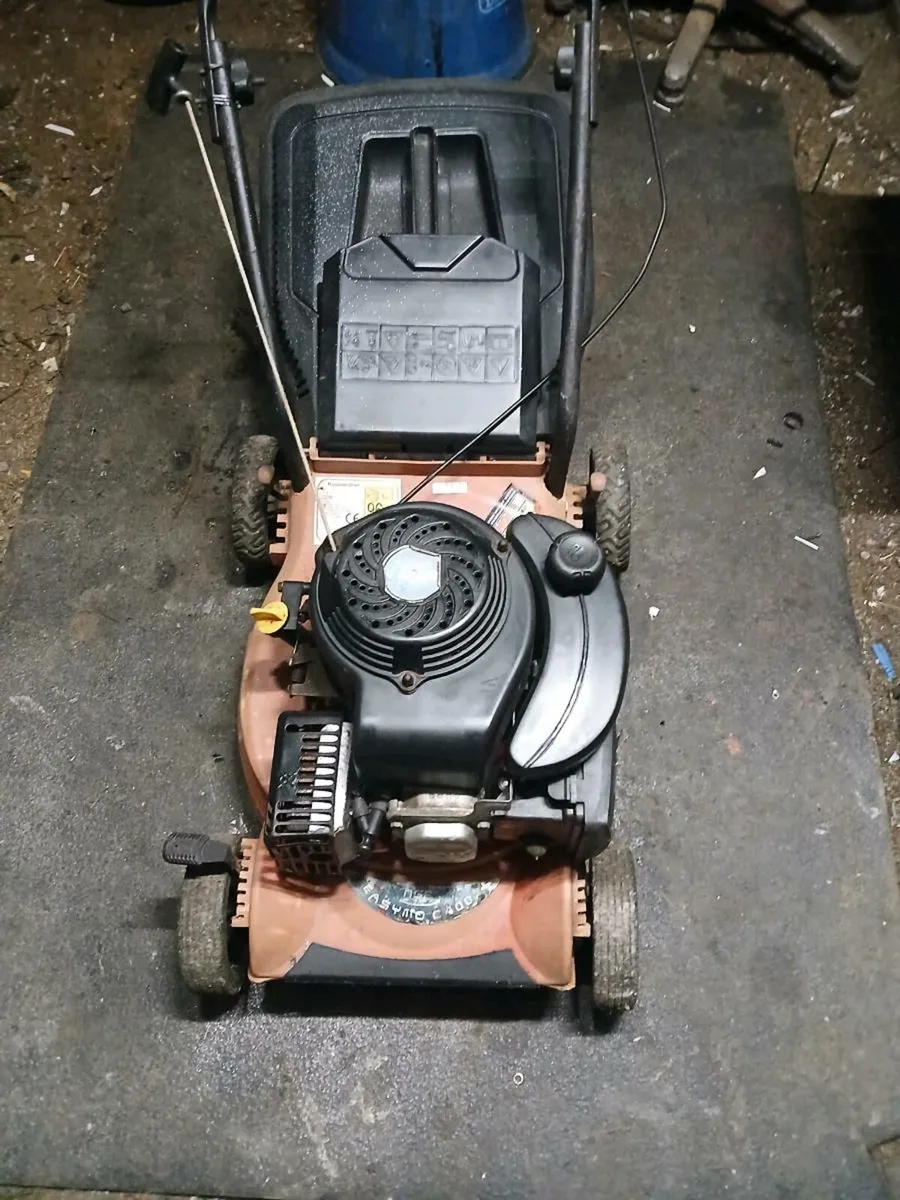 Lawn mower working perfect pm - Image 1