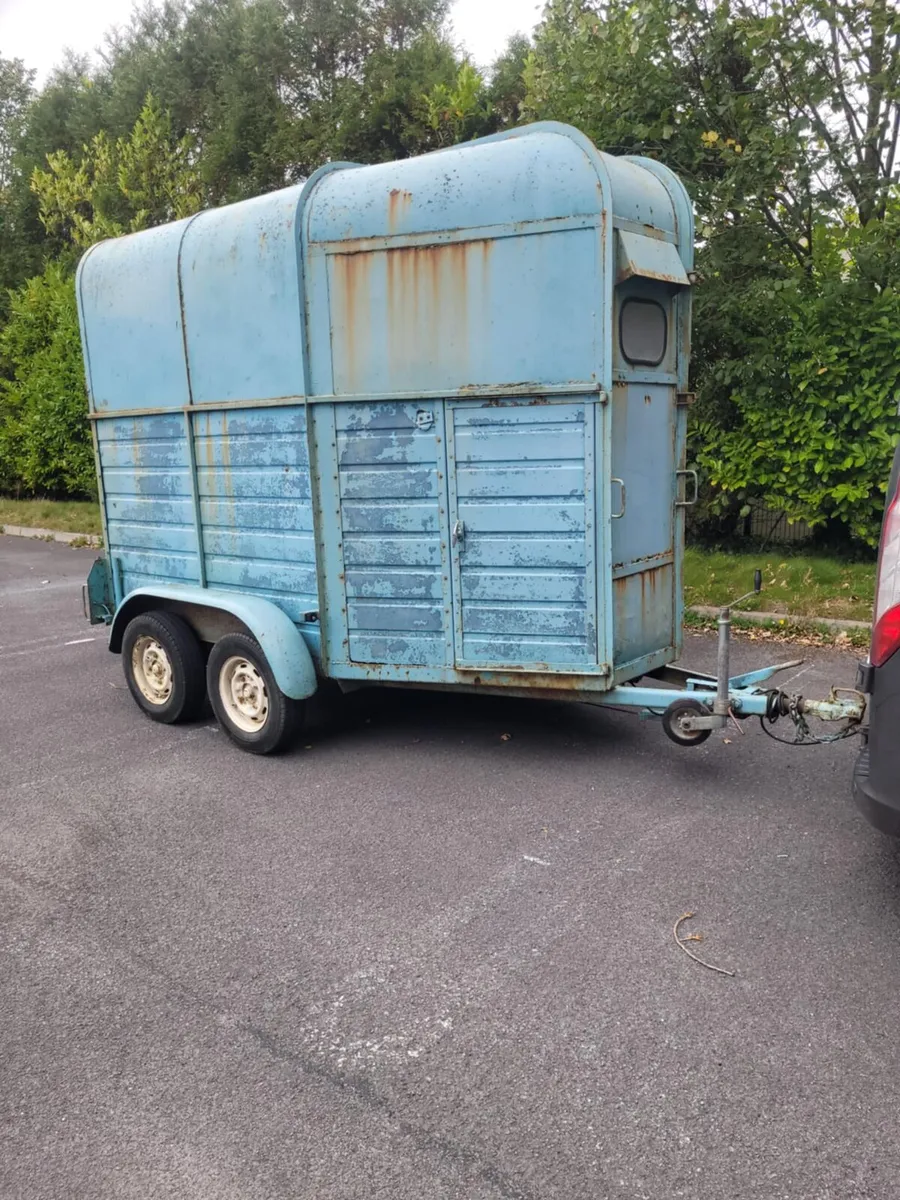 505 double horse box with full divider - Image 2