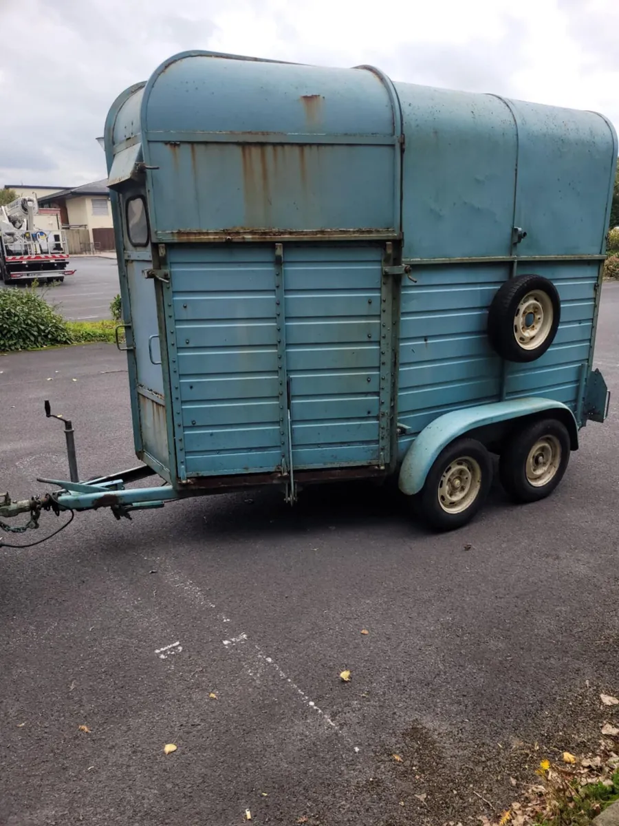 505 double horse box with full divider - Image 1