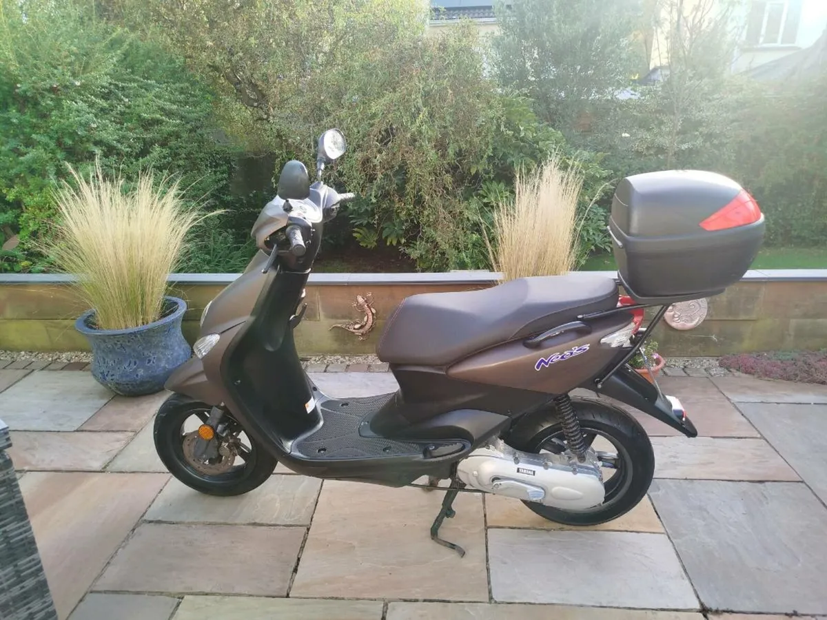 Scooter - Image 4