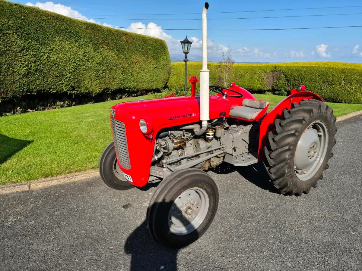 Massey Ferguson 35 - Image 2