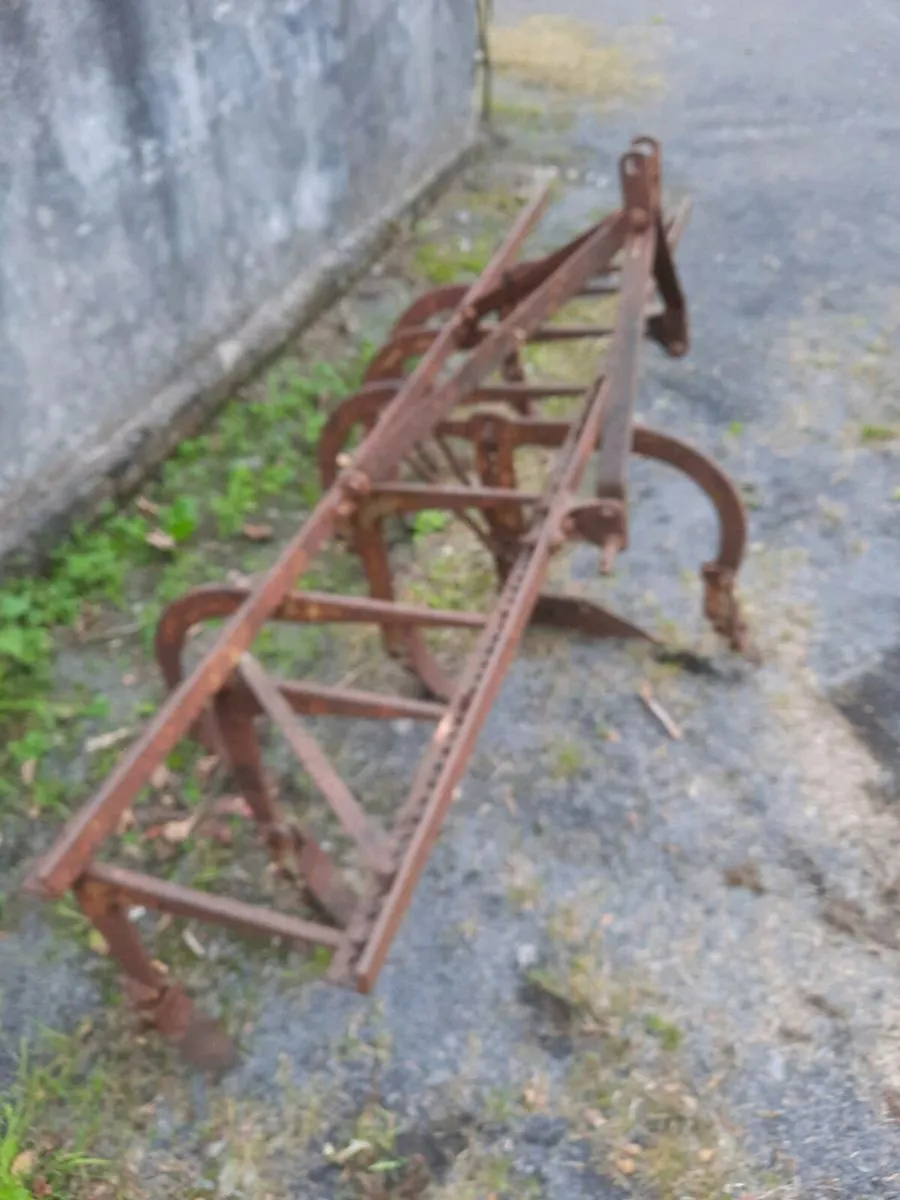 Ferguson 9 leg grubber Harrow - Image 2