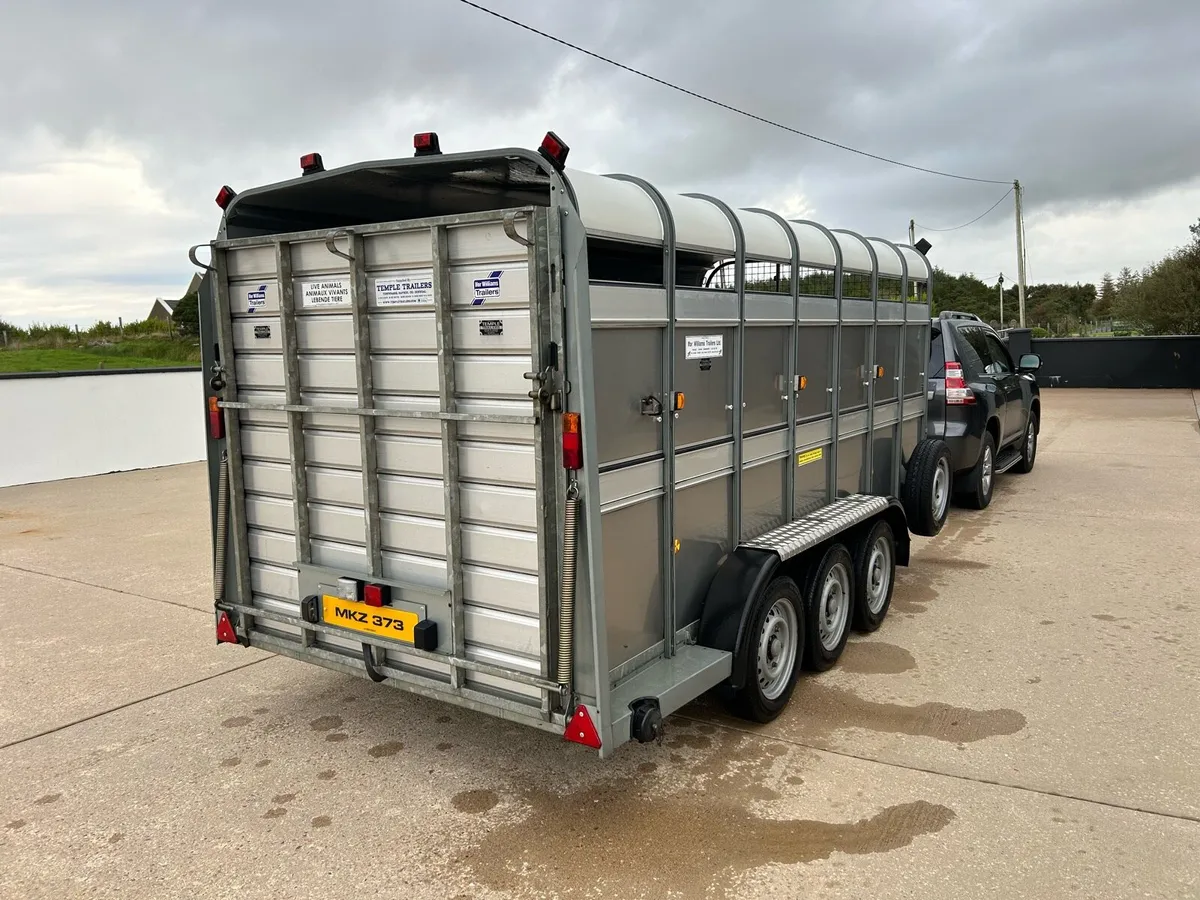 ## 14ft Iforwilliams cattle trailer ## - Image 2