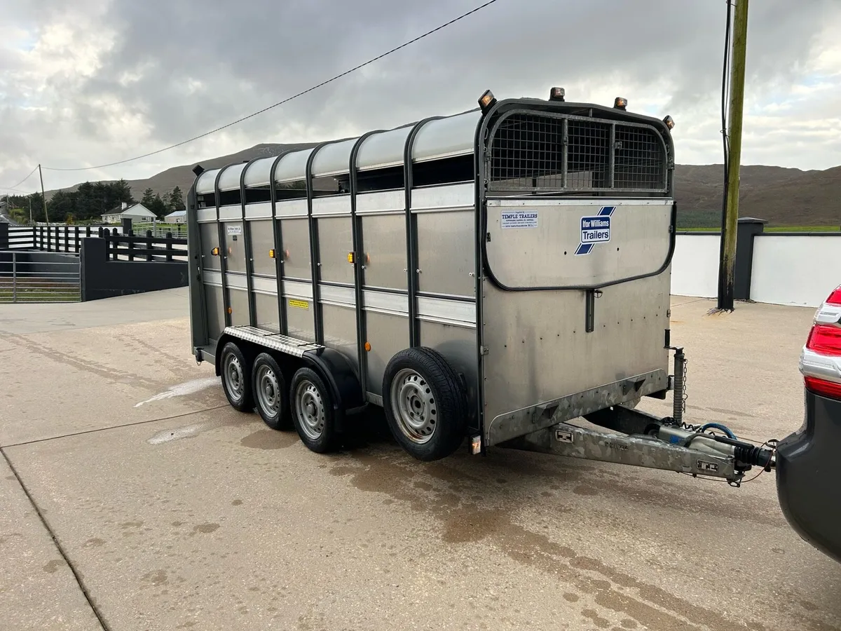 ## 14ft Iforwilliams cattle trailer ## - Image 3
