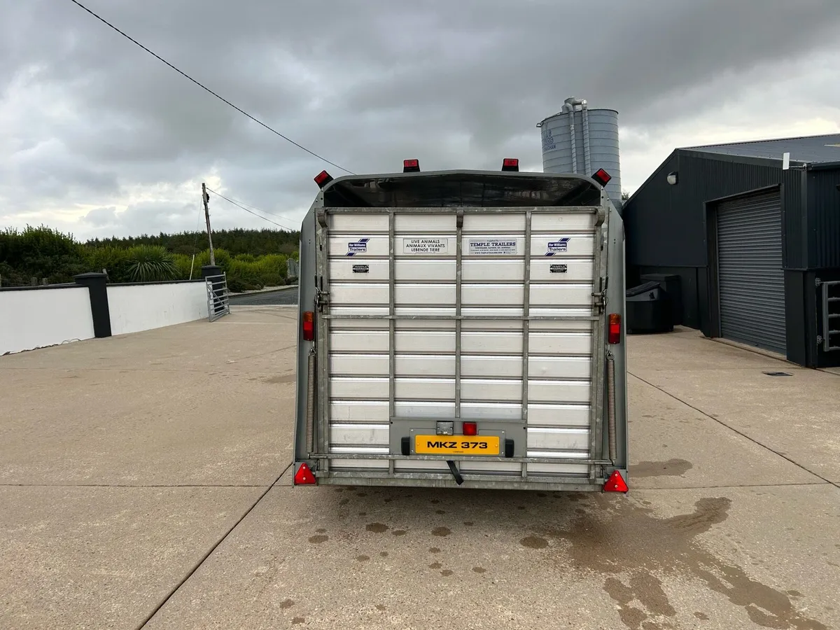 ## 14ft Iforwilliams cattle trailer ## - Image 4