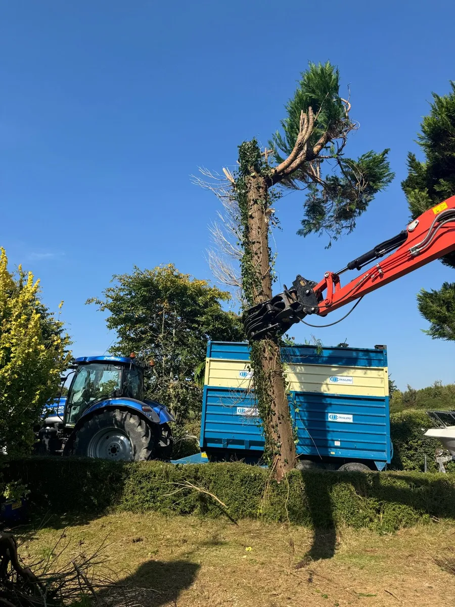 Hydraulic grab - Image 1