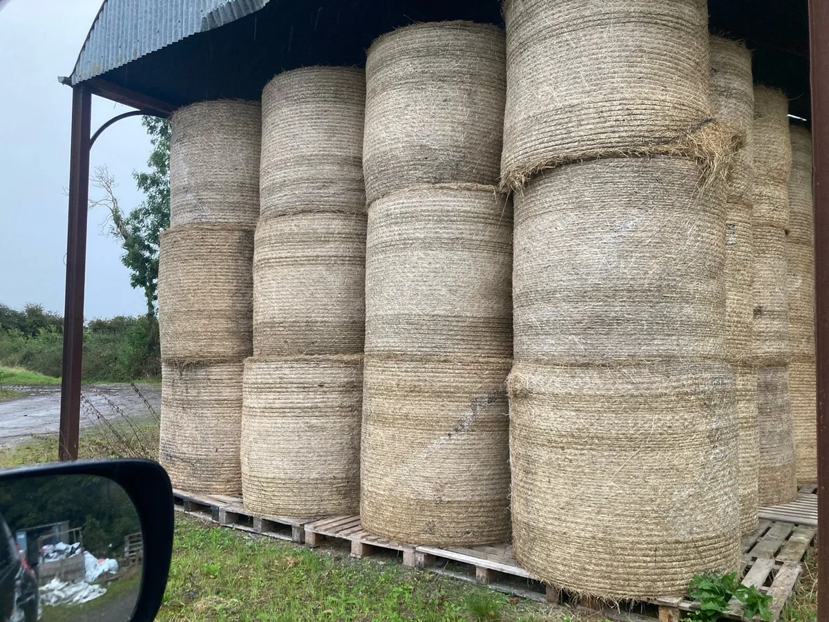 Hay - Image 2