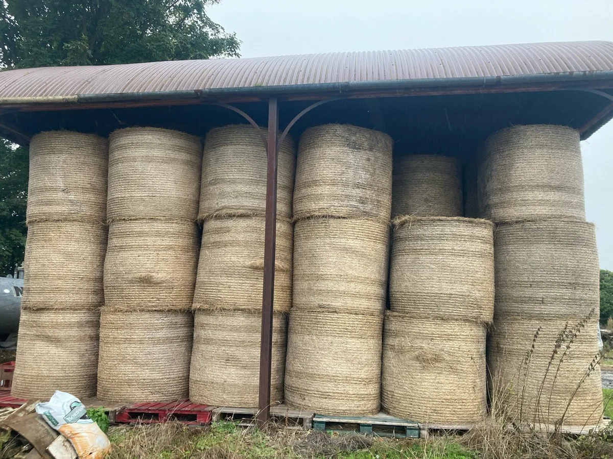 Hay - Image 3