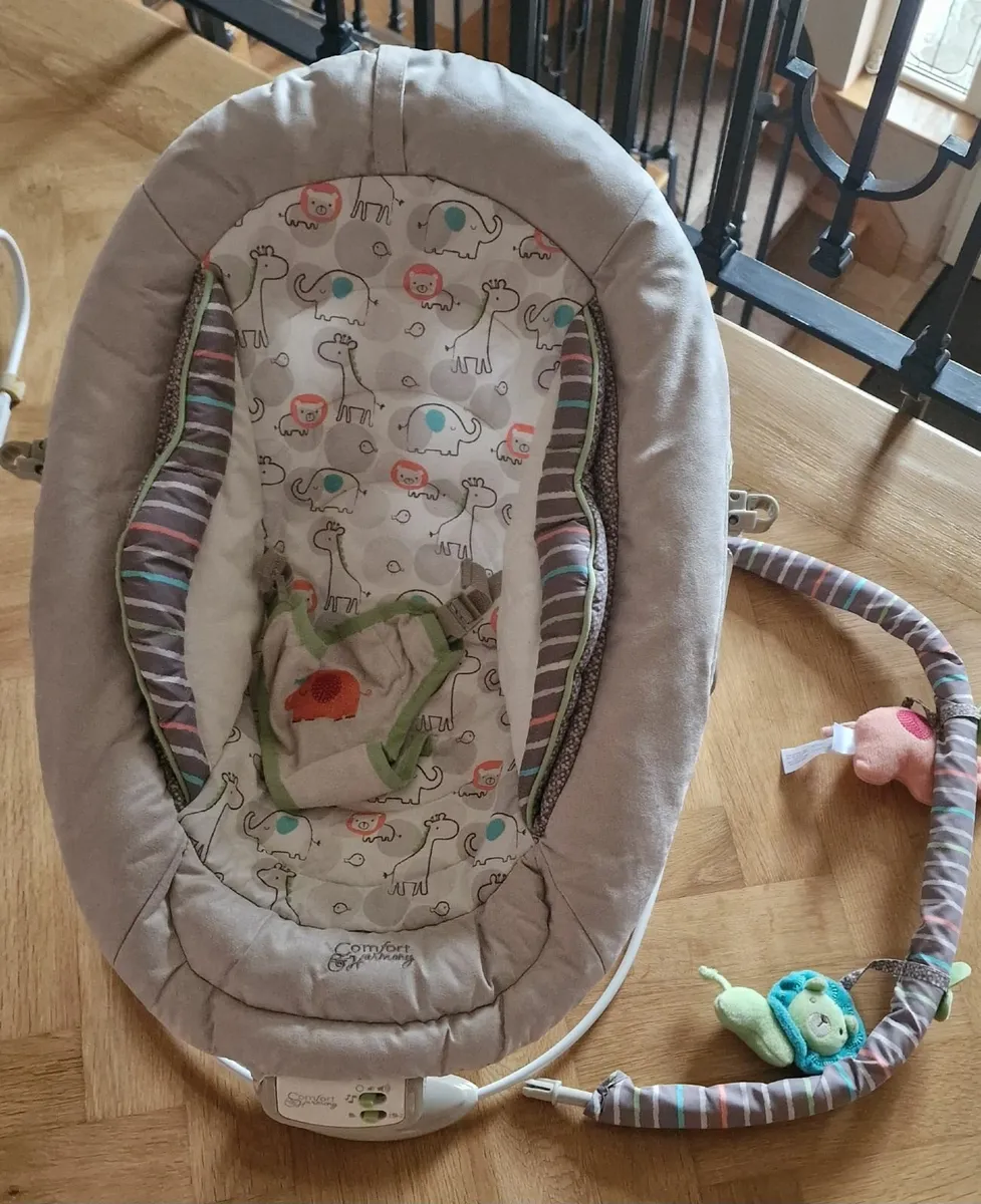 Baby Bouncer/seats - Image 2
