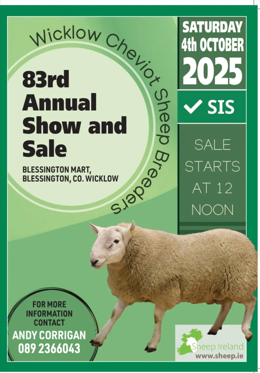 Wicklow Cheviot Show & Sale - Image 1
