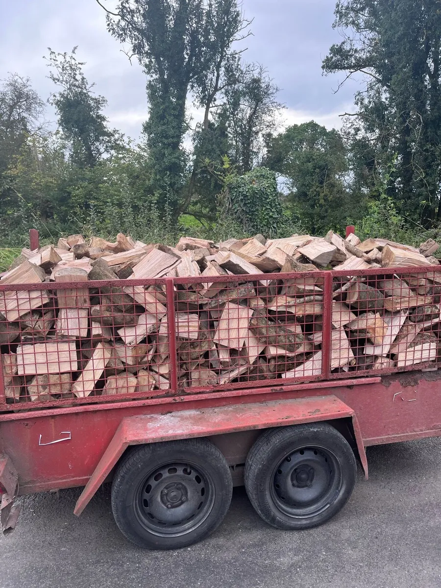 Firewood