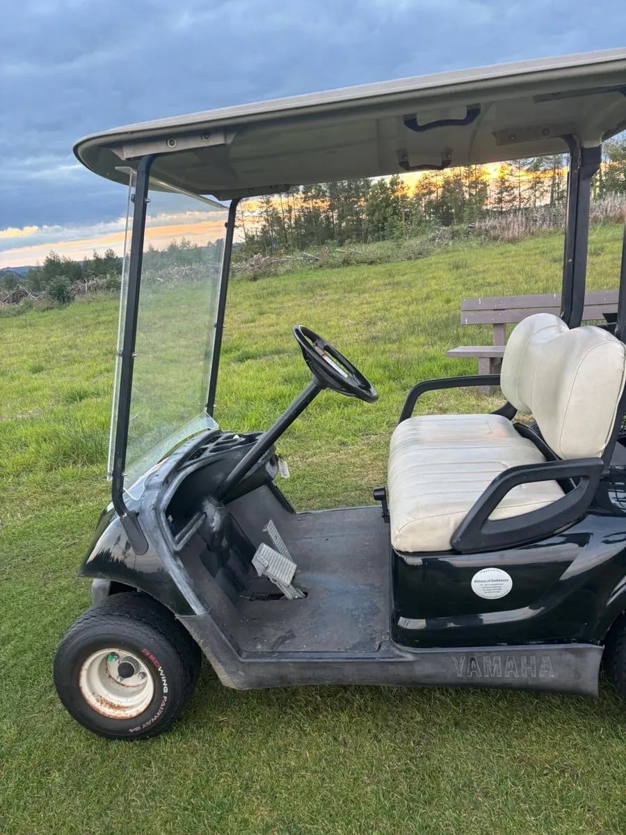 Golf buggy - Image 4
