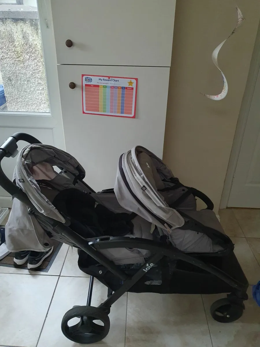 Double Buggy - Image 1