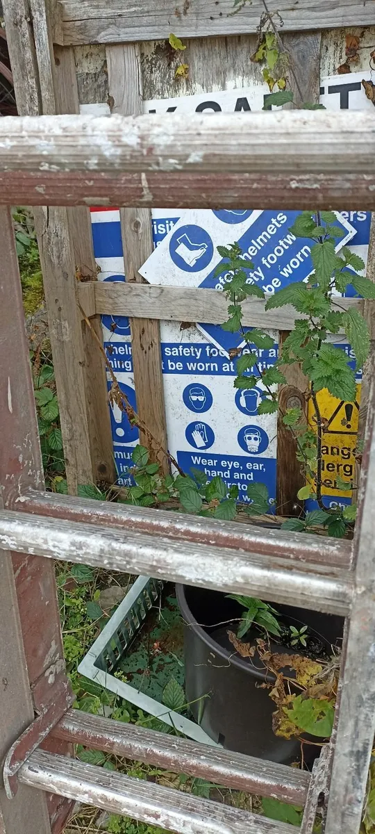 Extension ladder - Image 1